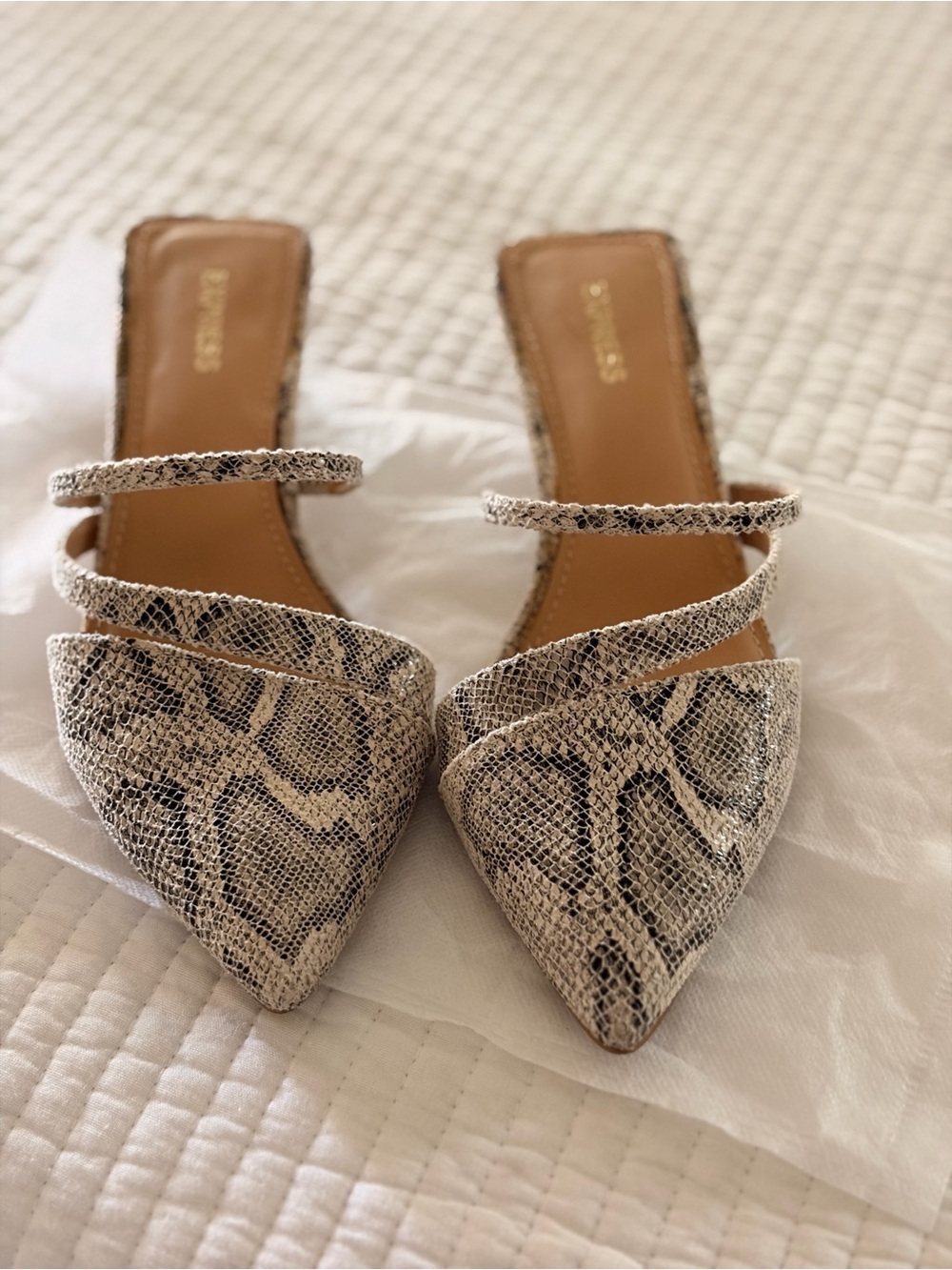 Express Snake-Print Pointed Slide Mules - Beige/Black